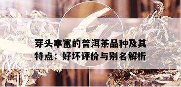 芽头丰富的普洱茶品种及其特点：好坏评价与别名解析