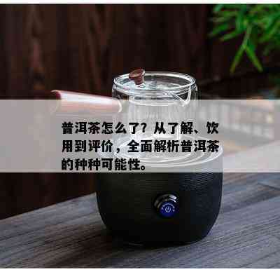 普洱茶怎么了？从了解、饮用到评价，全面解析普洱茶的种种可能性。