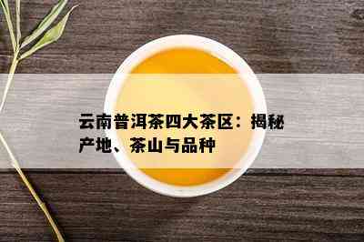 云南普洱茶四大茶区：揭秘产地、茶山与品种