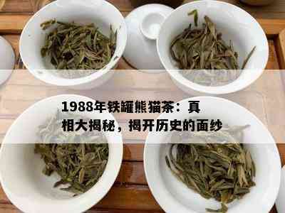 1988年铁罐熊猫茶：真相大揭秘，揭开历史的面纱