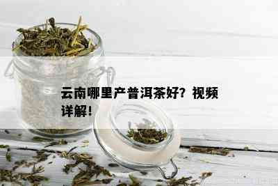 云南哪里产普洱茶好？视频详解！