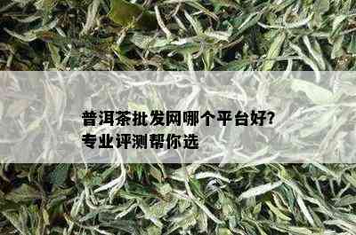 普洱茶批发网哪个平台好？专业评测帮你选