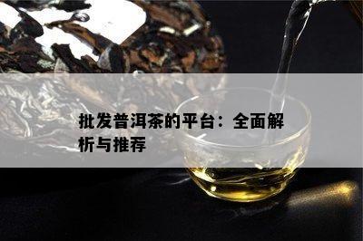 批发普洱茶的平台：全面解析与推荐