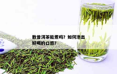 散普洱茶能煮吗？如何泡出好喝的口感？