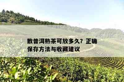 散普洱熟茶可放多久？正确保存方法与收藏建议