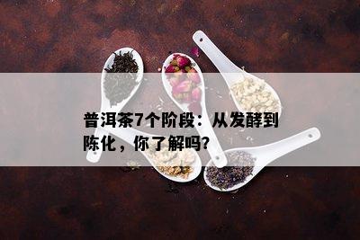 普洱茶7个阶段：从发酵到陈化，你了解吗？