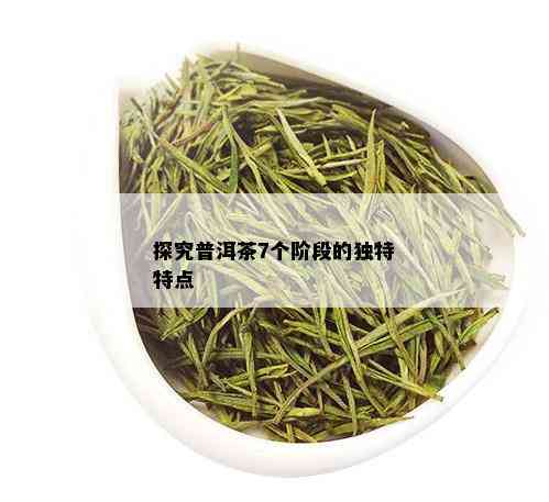 探究普洱茶7个阶段的独特特点