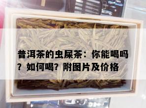 普洱茶的虫屎茶：你能喝吗？如何喝？附图片及价格