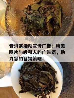 普洱茶活动宣传广告：精美图片与吸引人的广告语，助力您的营销策略！