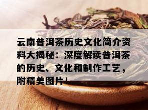 云南普洱茶历史文化简介资料大揭秘：深度解读普洱茶的历史、文化和制作工艺，附精美图片！