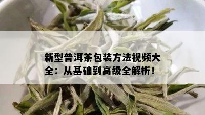 新型普洱茶包装方法视频大全：从基础到高级全解析！