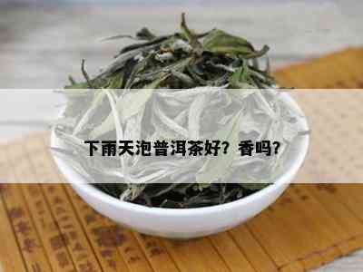 下雨天泡普洱茶好？香吗？