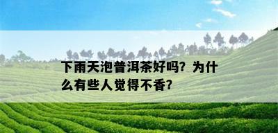 下雨天泡普洱茶好吗？为什么有些人觉得不香？