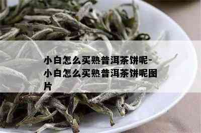 小白怎么买熟普洱茶饼呢-小白怎么买熟普洱茶饼呢图片