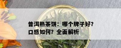 普洱熟茶饼：哪个牌子好？口感如何？全面解析