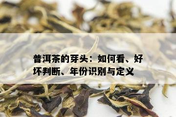 普洱茶的芽头：如何看、好坏判断、年份识别与定义