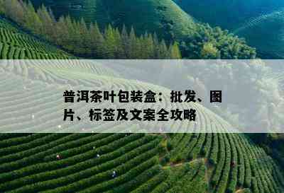 普洱茶叶包装盒：批发、图片、标签及文案全攻略