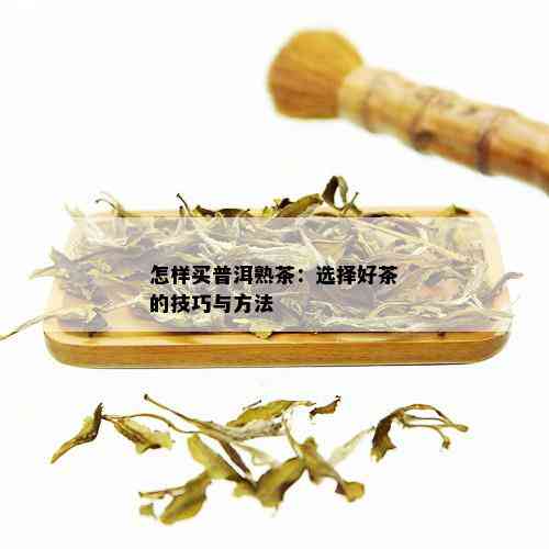 怎样买普洱熟茶：选择好茶的技巧与方法