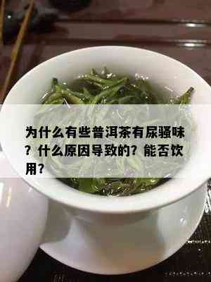 为什么有些普洱茶有尿骚味？什么原因导致的？能否饮用？