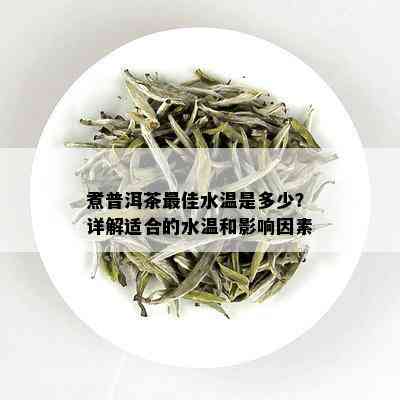 煮普洱茶更佳水温是多少？详解适合的水温和影响因素