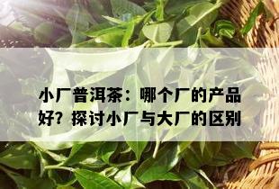 小厂普洱茶：哪个厂的产品好？探讨小厂与大厂的区别