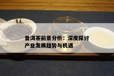 普洱茶前景分析：深度探讨产业发展趋势与机遇