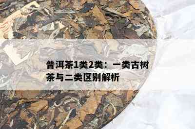 普洱茶1类2类：一类古树茶与二类区别解析