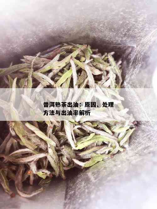 普洱熟茶出油：原因、处理方法与出油率解析