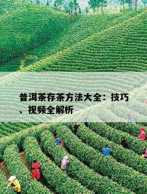 普洱茶存茶方法大全：技巧、视频全解析