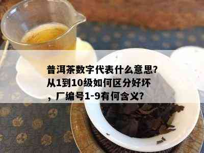 普洱茶数字代表什么意思？从1到10级如何区分好坏，厂编号1-9有何含义？