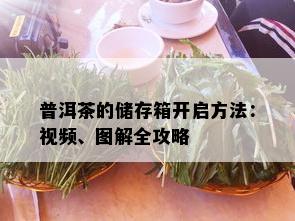 普洱茶的储存箱开启方法：视频、图解全攻略