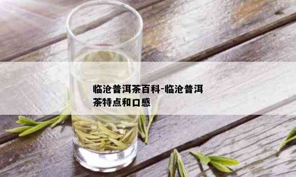 临沧普洱茶百科-临沧普洱茶特点和口感