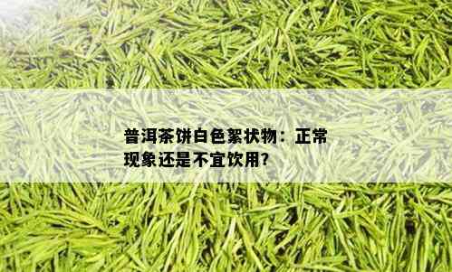 普洱茶饼白色絮状物：正常现象还是不宜饮用？