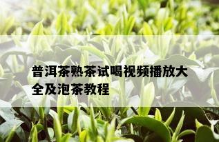 普洱茶熟茶试喝视频播放大全及泡茶教程