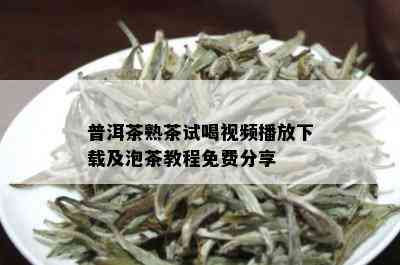 普洱茶熟茶试喝视频播放下载及泡茶教程免费分享