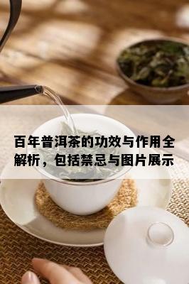 百年普洱茶的功效与作用全解析，包括禁忌与图片展示