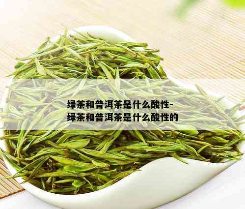 绿茶和普洱茶是什么酸性-绿茶和普洱茶是什么酸性的