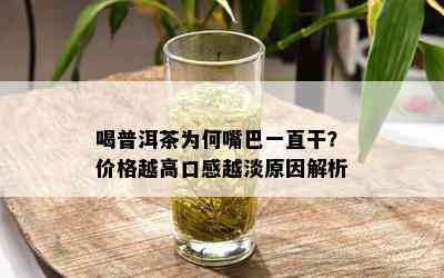 喝普洱茶为何嘴巴一直干？价格越高口感越淡原因解析