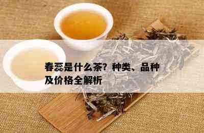 春蕊是什么茶？种类、品种及价格全解析