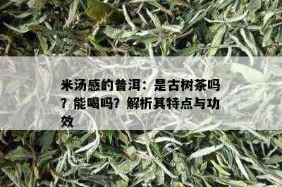 米汤感的普洱：是古树茶吗？能喝吗？解析其特点与功效