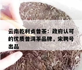 云南乾利贞普茶： *** 认可的优质普洱茶品牌，宋聘号出品