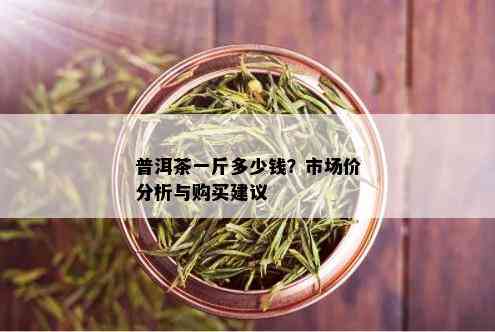 普洱茶一斤多少钱？市场价分析与购买建议