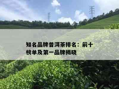 知名品牌普洱茶排名：前十榜单及之一品牌揭晓