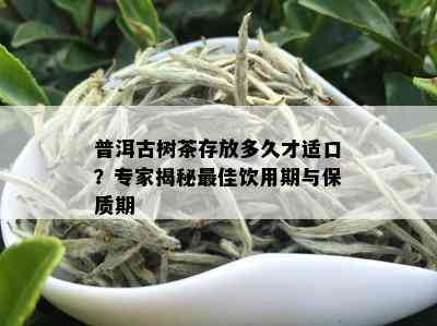 普洱古树茶存放多久才适口？专家揭秘更佳饮用期与保质期