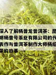 深入了解杨普龙普洱茶：昆明杨普号茶业有限公司的代表作与普洱茶制作大师杨绍荣的故事