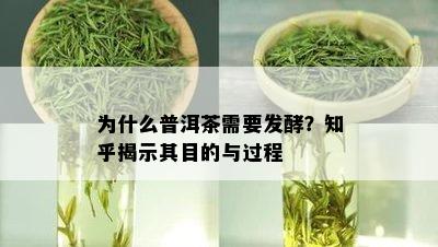 为什么普洱茶需要发酵？知乎揭示其目的与过程