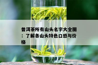 普洱茶所有山头名字大全图：了解各山头特色口感与价格