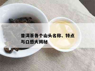 普洱茶各个山头名称、特点与口感大揭秘