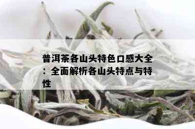 普洱茶各山头特色口感大全：全面解析各山头特点与特性