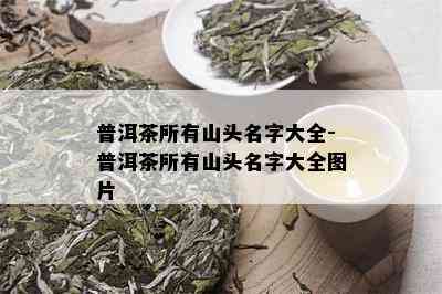 普洱茶所有山头名字大全-普洱茶所有山头名字大全图片